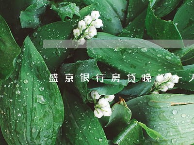 盛京银行房贷晚还一天能算逾期吗 盛京银行房贷晚还一天能算逾期吗