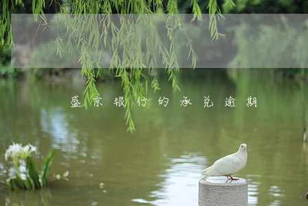 盛京银行的承兑逾期 盛京银行的承兑逾期