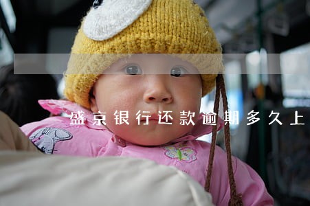 盛京银行还款逾期多久上征信 盛京银行还款逾期多久上征信