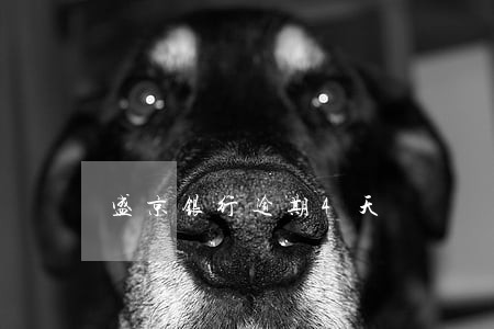 盛京银行逾期4天 盛京银行逾期4天