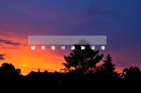 盛京银行逾期征信 盛京银行逾期征信