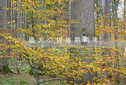 盛大小贷逾期两年 盛大小贷逾期两年
