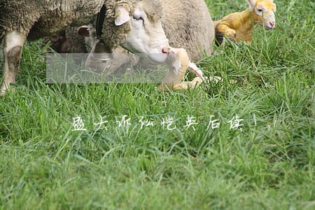 盛大诉讼恺英后续 盛大诉讼恺英后续
