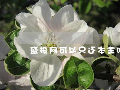 盛投网可以只还本金吗