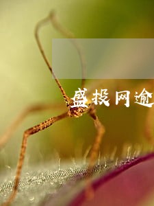 盛投网逾期一天费用205 盛投网逾期一天费用205