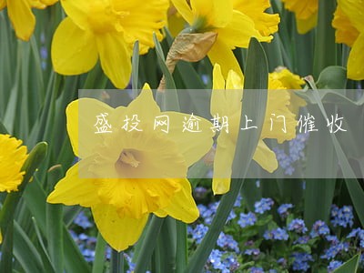 盛投网逾期上门催收 盛投网逾期上门催收