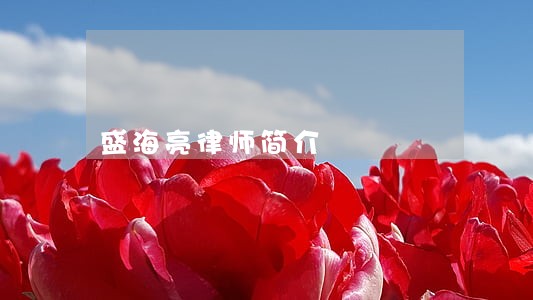 盛海亮律师简介 盛海亮律师简介