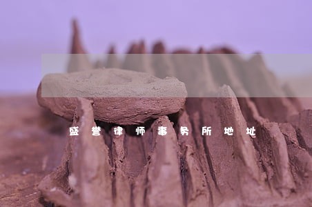 盛誉律师事务所地址