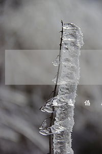 盛通信用逾期是什么 盛通信用逾期是什么