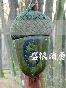 盛银消费逾期几天上征信 盛银消费逾期几天上征信