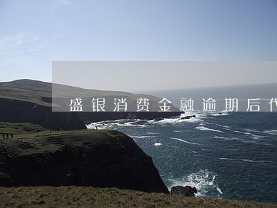 盛银消费金融逾期后代偿 盛银消费金融逾期后代偿