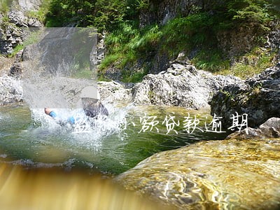 盛际小额贷款逾期 盛际小额贷款逾期