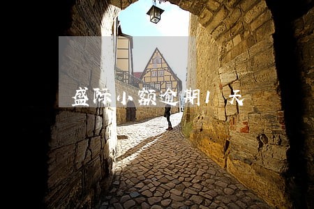 盛际小额逾期1天 盛际小额逾期1天