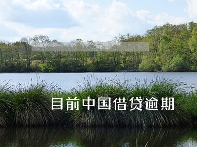 目前中国借贷逾期 目前中国借贷逾期