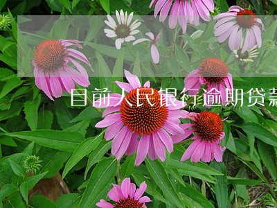目前人民银行逾期贷款收息标准 目前人民银行逾期贷款收息标准