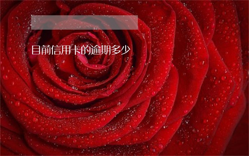 目前信用卡的逾期多少 目前信用卡的逾期多少