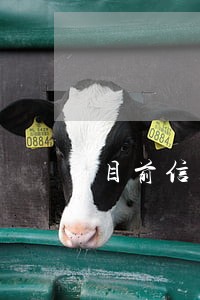 目前信用卡逾期多久会上征信 目前信用卡逾期多久会上征信
