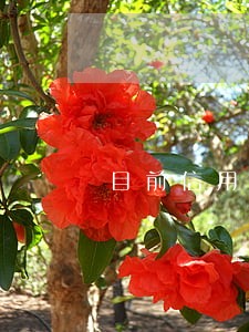 目前信用卡逾期多久会被起诉 目前信用卡逾期多久会被起诉