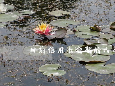 目前信用卡逾期的人有多少 目前信用卡逾期的人有多少