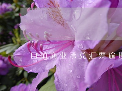 目前商业承兑汇票逾期的公司 目前商业承兑汇票逾期的公司