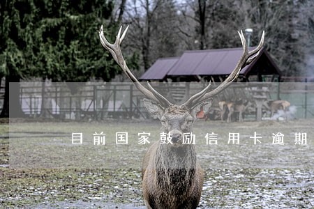 目前国家鼓励信用卡逾期减免 目前国家鼓励信用卡逾期减免