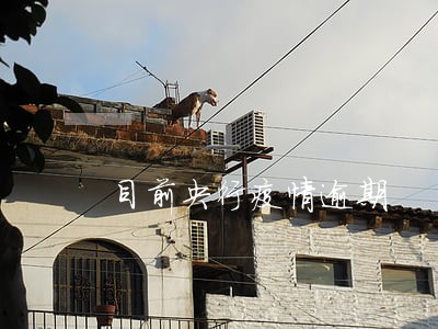 目前央行疫情逾期 目前央行疫情逾期