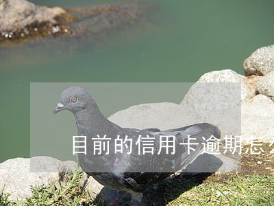 目前的信用卡逾期怎么办 目前的信用卡逾期怎么办