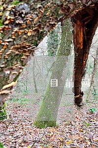 目前网贷信用卡逾期情况 目前网贷信用卡逾期情况