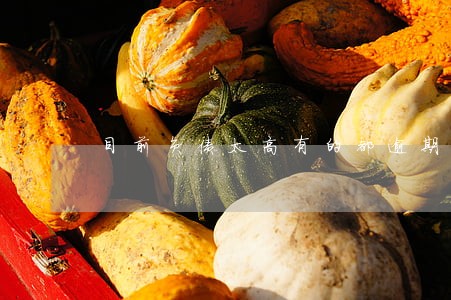 目前负债太高有的都逾期了 目前负债太高有的都逾期了