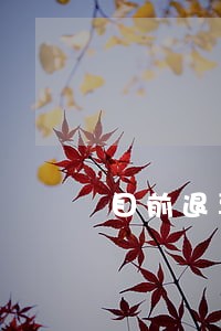 目前退票逾期时间 目前退票逾期时间