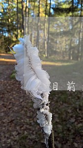 目前逾期贷款管控压力 目前逾期贷款管控压力