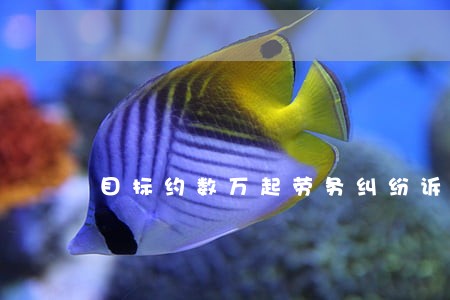 目标约数万起劳务纠纷诉讼 目标约数万起劳务纠纷诉讼