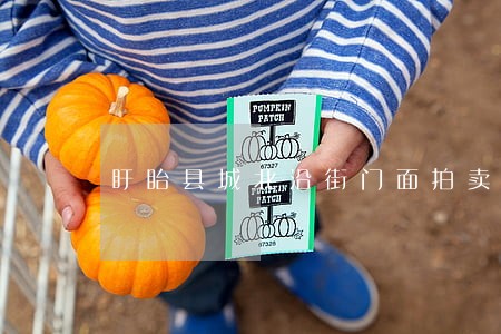 盱眙县城北沿街门面拍卖 盱眙县城北沿街门面拍卖