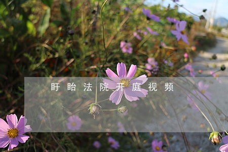 盱眙法院开庭视频 盱眙法院开庭视频