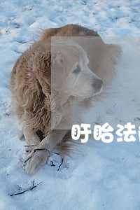 盱眙法院执行局荣记集体三等功 盱眙法院执行局荣记集体三等功