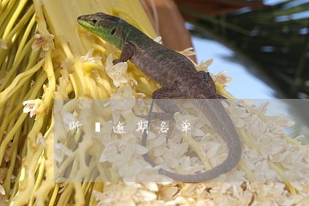 盱眙逾期名单 盱眙逾期名单