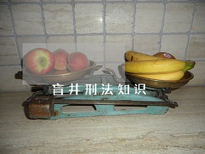 盲井刑法知识 盲井刑法知识