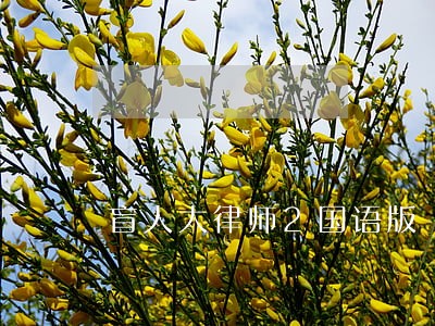 盲人大律师2国语版 盲人大律师2国语版