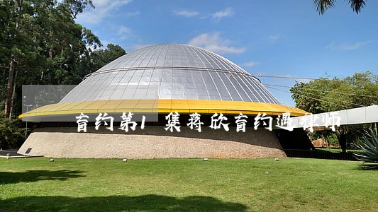 盲约第1集蒋欣盲约遇律师