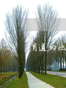 盲道的法规 盲道的法规