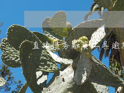 直接债务融资工具逾期