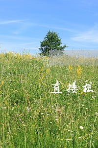 直接租赁租后逾期处理 直接租赁租后逾期处理