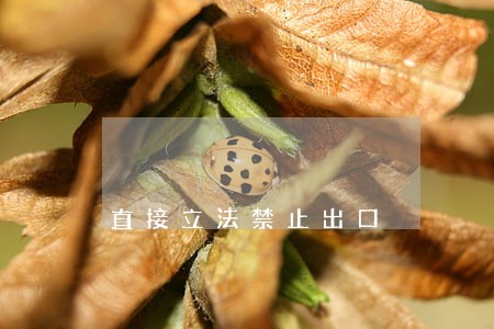 直接立法禁止出口 直接立法禁止出口