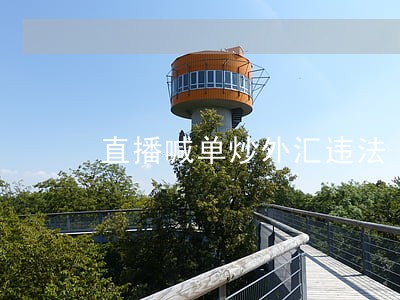 直播喊单炒外汇违法
