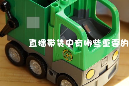 直播带货中有哪些重要的法律问题 直播带货中有哪些重要的法律问题