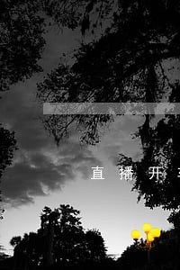 直播开车违法 直播开车违法