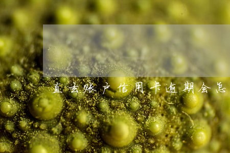 直玄账户信用卡逾期会怎么样 直玄账户信用卡逾期会怎么样