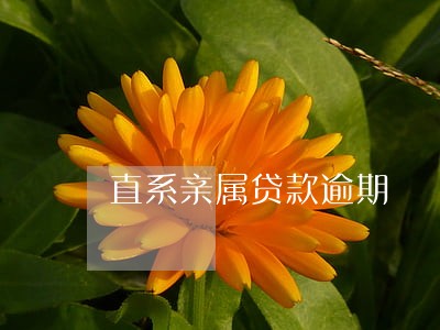 直系亲属贷款逾期 直系亲属贷款逾期