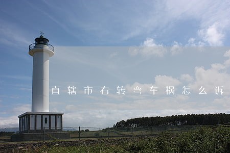 直辖市右转弯车祸怎么诉讼 直辖市右转弯车祸怎么诉讼