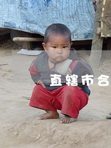 直辖市合同纠纷在线律师 直辖市合同纠纷在线律师